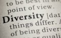 Diversity Management Definitions