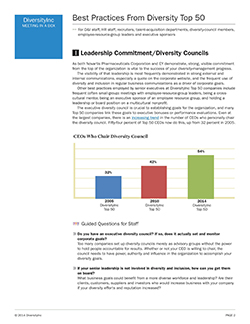 Leadership Commitment/Diversity Councils