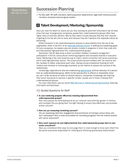 Talent Development/Mentoring/Sponsorship