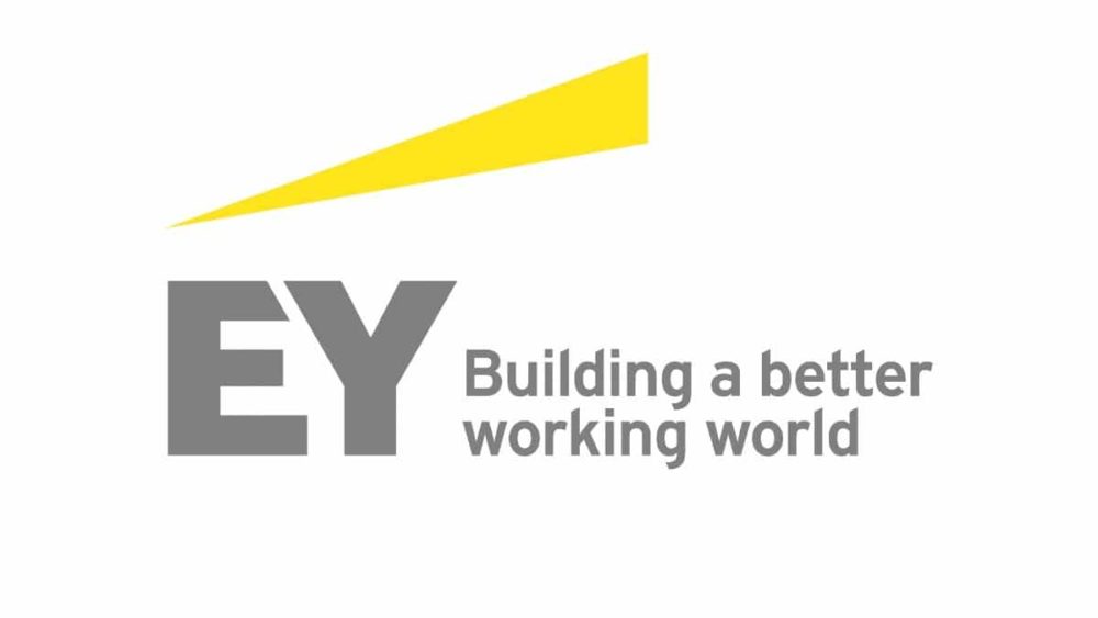 EY's Global Diversity and Inclusion Committee is Structured to Effectively Tackle Global D&I Challenges