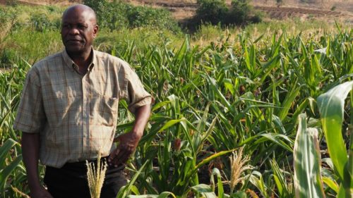 Monsanto Leverages Business Resource Groups to aid the African & African-American Farmer