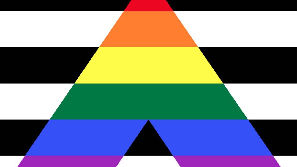 A picture of an LGBTQ+ allies flag representing an image of allyship.